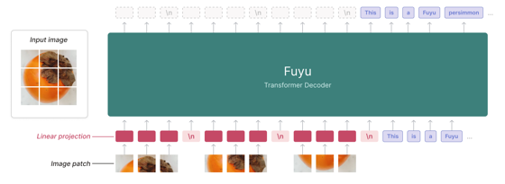 Fuyu-8B blog card